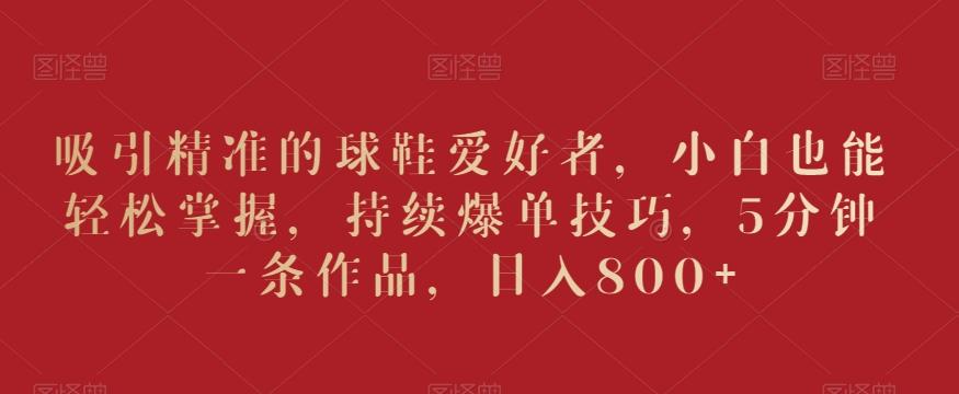吸引精准的球鞋爱好者，小白也能轻松掌握，持续爆单技巧，5分钟一条作品，日入800+【揭秘】-梦想波浪