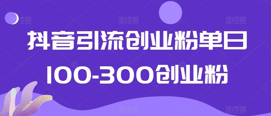 抖音引流创业粉单日100-300创业粉【揭秘】-梦想波浪