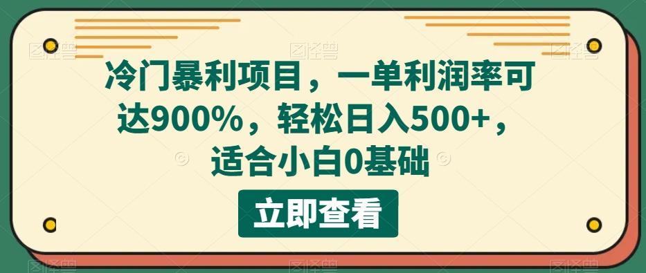 冷门暴利项目，一单利润率可达900%，轻松日入500+，适合小白0基础-梦想波浪