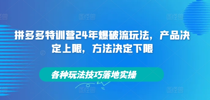 拼多多特训营24年爆破流玩法，产品决定上限，方法决定下限，各种玩法技巧落地实操-梦想波浪
