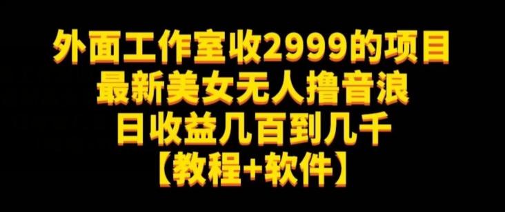 外面工作室收2999的项目最新美女无人撸音浪日收益几百到几千【教程+软件】（仅揭秘）-梦想波浪