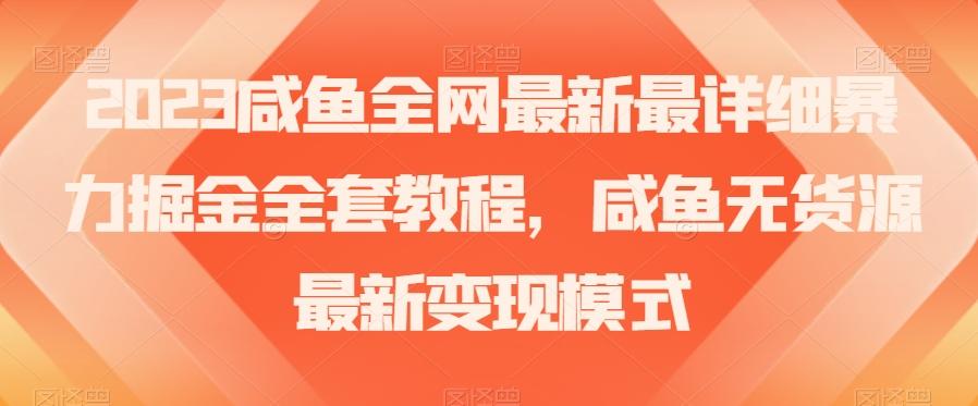 2023咸鱼全网最新最详细暴力掘金全套教程，咸鱼无货源最新变现模式【揭秘】-梦想波浪