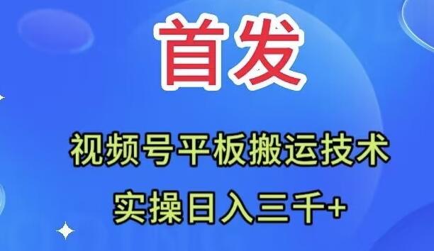 全网首发：视频号平板搬运技术，实操日入三千＋-梦想波浪