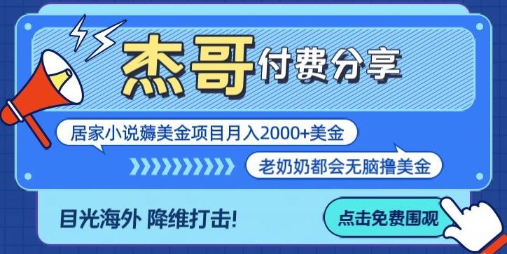 拆解海外撸美金项目月入2000美刀详细指导-梦想波浪