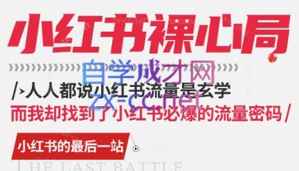 月月老师·小红书低粉高变现课-梦想波浪