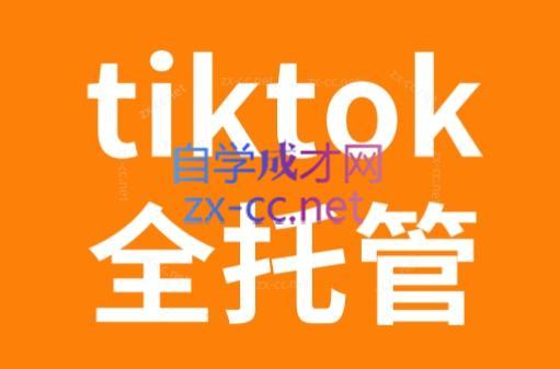 TikTok跨境电商全托管运营模式精品课-梦想波浪