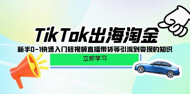 (10035期)TikTok-出海淘金,新手0-1快速入门短视频直播带货等引流到变现的知识-梦想波浪