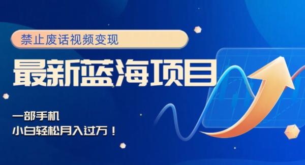 最新蓝海项目，靠禁止废话视频变现，一部手机，小白轻松月入过万！-梦想波浪