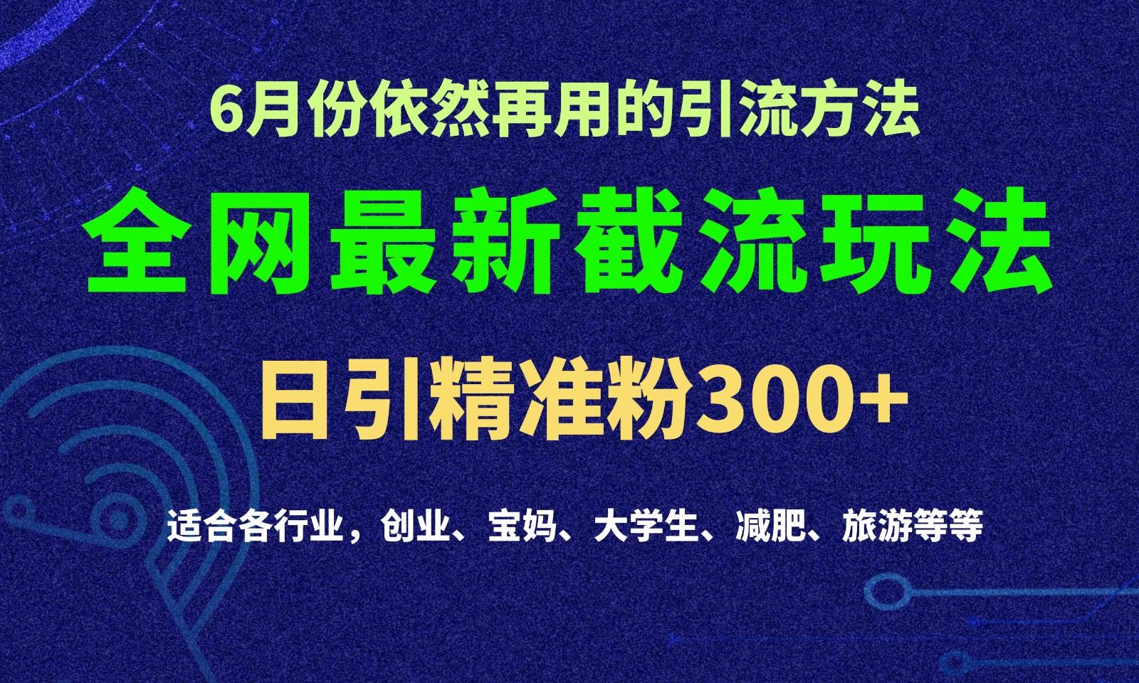2024全网最新截留玩法，每日引流突破300+-梦想波浪