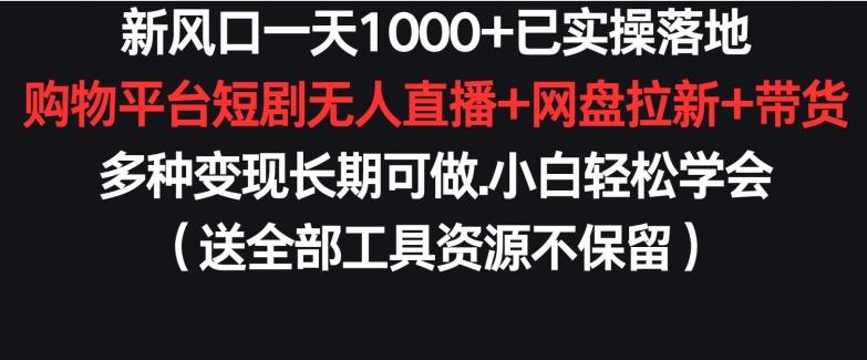 新风口一天1000+已实操落地购物平台短剧无人直播+网盘拉新+带货多种变现长期可做【揭秘】-梦想波浪