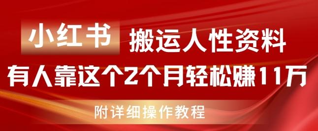 小红书搬运人性资料，有人靠这个2个月轻松赚11w，附教程【揭秘】-梦想波浪