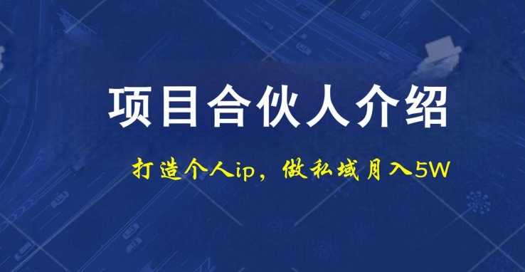项目合伙人项目，打造个人IP，做私域月入5W，小白勿扰-梦想波浪