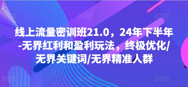 线上流量密训班21.0，24年下半年-无界红利和盈利玩法，终极优化/无界关键词/无界精准人群-梦想波浪