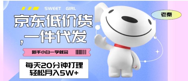 每天20分钟打理京东低价货，一件代发-轻松月入5W＋-梦想波浪