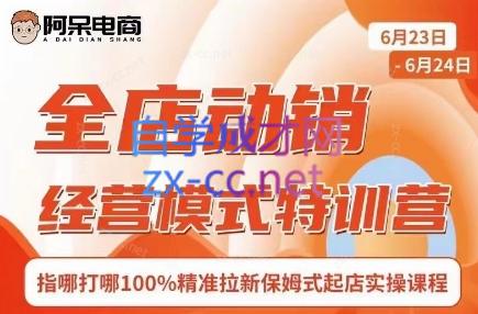阿呆电商·全店动销经营模式特训营(线下录音+思维导图)-梦想波浪