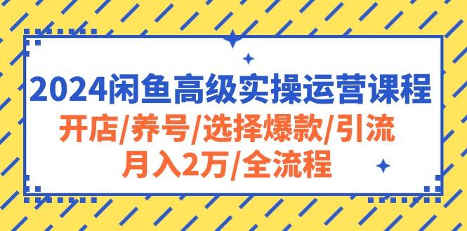 2024闲鱼高级实操运营课程:开店/养号/选择爆款/引流/月入2万/全流程-梦想波浪