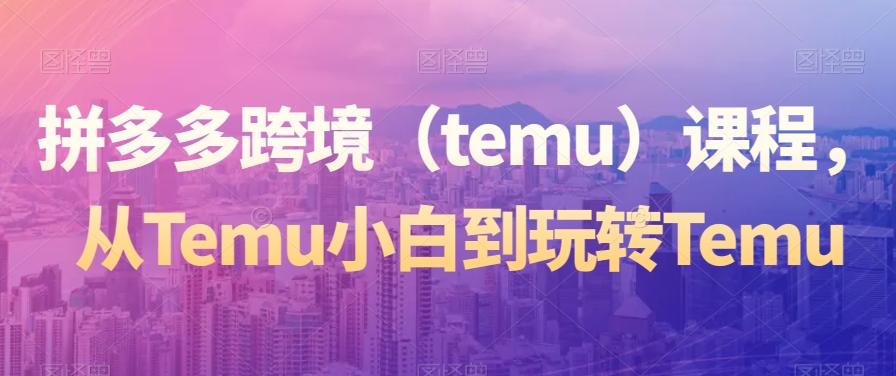 拼多多跨境（temu）课程，从Temu小白到玩转Temu-梦想波浪