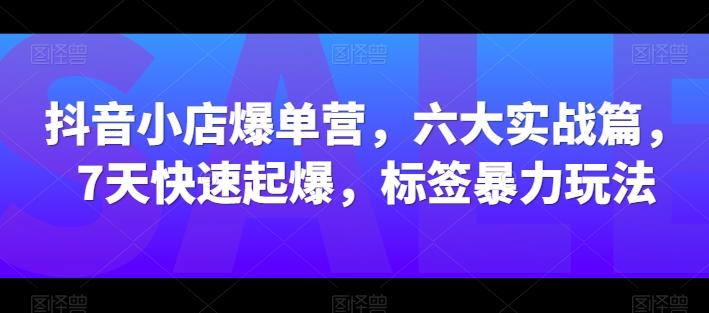 抖音小店爆单营，六大实战篇，7天快速起爆，标签暴力玩法-梦想波浪