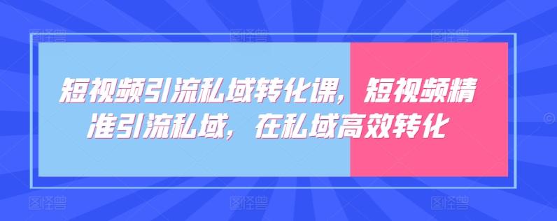 短视频引流私域转化课，短视频精准引流私域，在私域高效转化-梦想波浪