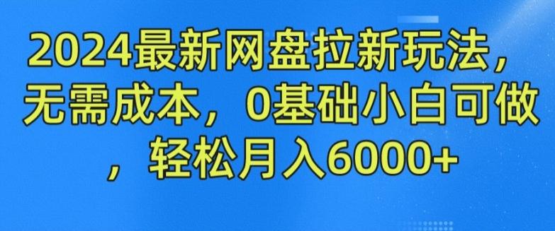 2024最新网盘拉新玩法,无需成本,0基础小白可做,轻松月入6000+【揭秘】-梦想波浪