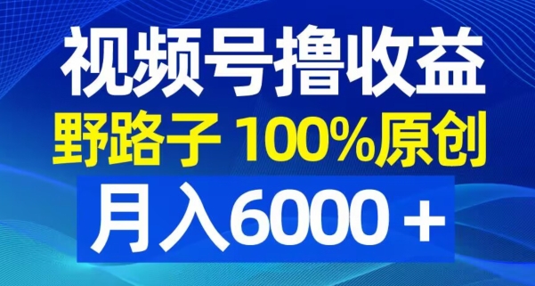 视频号野路子撸收益，100%原创，条条爆款，月入6000＋【揭秘】-梦想波浪