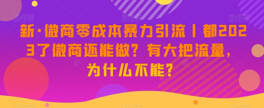 新·微商零成本暴力引流丨都2023了微商还能做？有大把流量，为什么不能？-梦想波浪