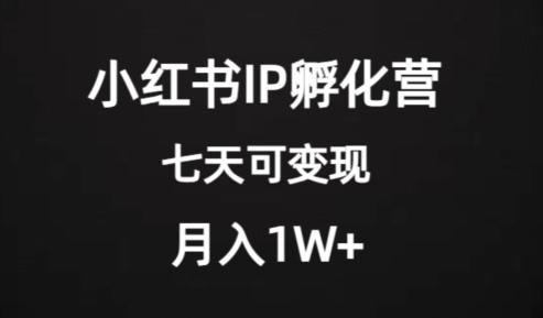价值2000+的小红书IP孵化营项目，超级大蓝海，七天即可开始变现，稳定月入1W+-梦想波浪