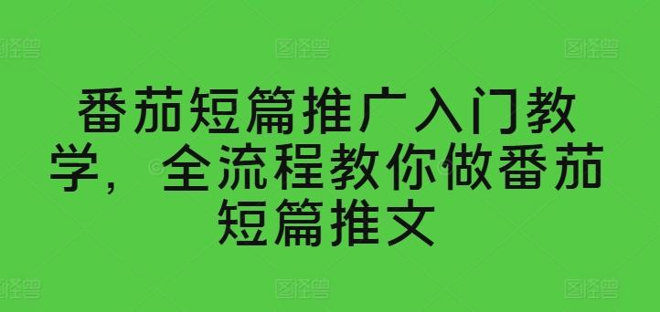 番茄短篇推广入门教学，全流程教你做番茄短篇推文-梦想波浪