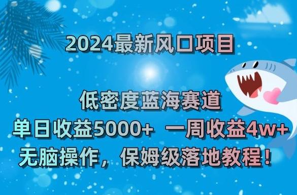 2024最新风口项目，低密度蓝海赛道，单日收益5000+，一周收益4w+！【揭秘】-梦想波浪