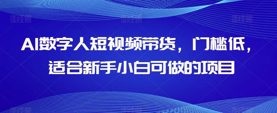 AI数字人短视频带货，门槛低，适合新手小白可做的项目-梦想波浪
