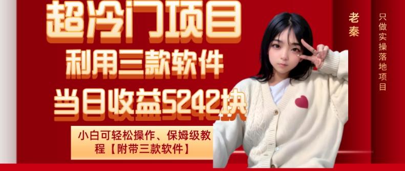 超冷门项目、利用三款软件、当日收益5242块、小白可轻松操作、保姆级教程【附带三款软件】-梦想波浪