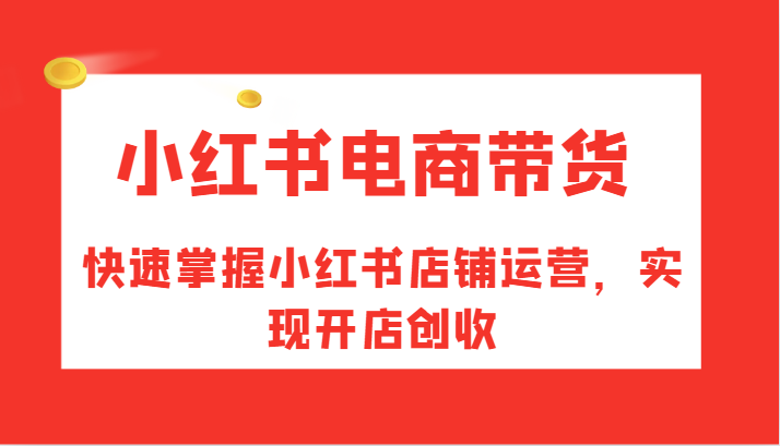 小红书电商带货，快速掌握小红书店铺运营，实现开店创收-梦想波浪