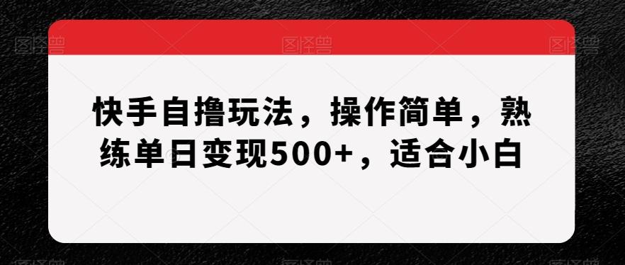 快手自撸玩法，操作简单，熟练单日变现500+，适合小白【揭秘】-梦想波浪