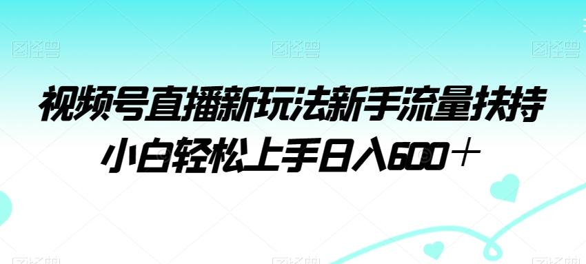 视频号直播新玩法新手流量扶持小白轻松上手日入600+【揭秘】-梦想波浪