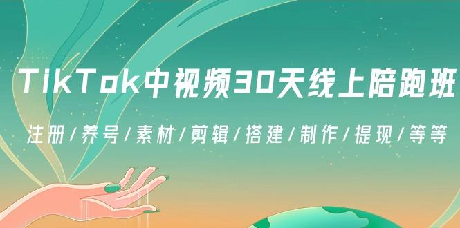 TikTok中视频-30天线上陪跑班：注册/养号/素材/剪辑/搭建/制作/提现/等等-梦想波浪