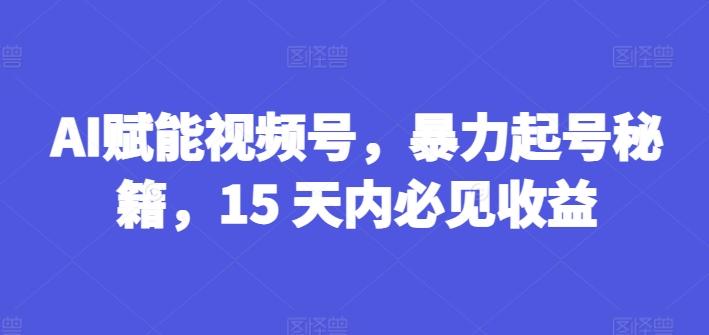 AI赋能视频号，暴力起号秘籍，15 天内必见收益【揭秘】-梦想波浪
