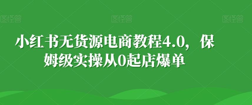 小红书无货源电商教程4.0，保姆级实操从0起店爆单【拆解】-梦想波浪
