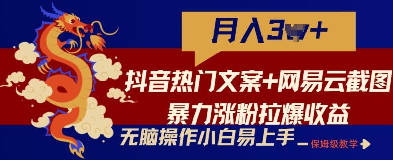 抖音热门文案+网易云截图暴力涨粉拉爆收益玩法,小白无脑操作,简单易上手【揭秘】-梦想波浪