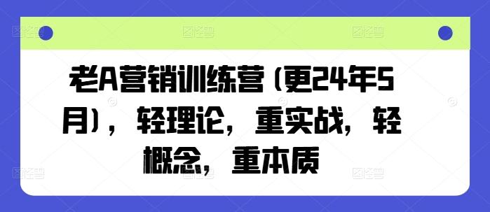 老A营销训练营(更24年6月)，轻理论，重实战，轻概念，重本质-梦想波浪