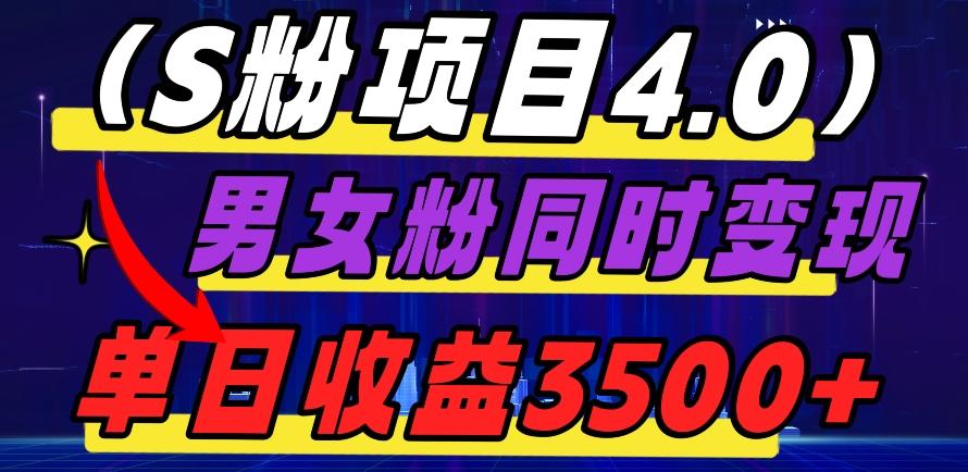 S粉项目4.0，男女粉通吃，男女粉同时变现，单日收益3500+-梦想波浪