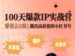 小红书100天爆款IP实战营，带你从0到1做出高价值的小红书号-梦想波浪