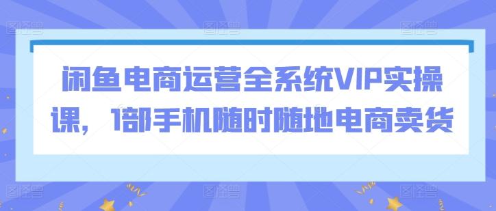 闲鱼电商运营全系统VIP实操课，1部手机随时随地电商卖货-梦想波浪