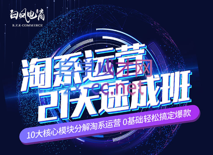 淘系运营21天速成班(更新24年5月)-梦想波浪