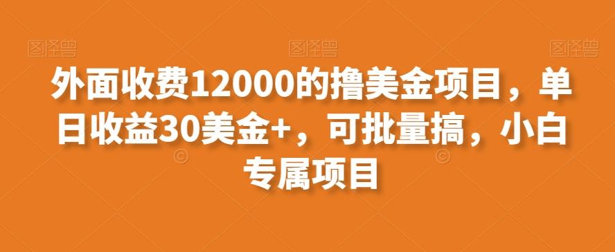 外面收费12000的撸美金项目，单日收益30美金+，可批量搞，小白专属项目-梦想波浪