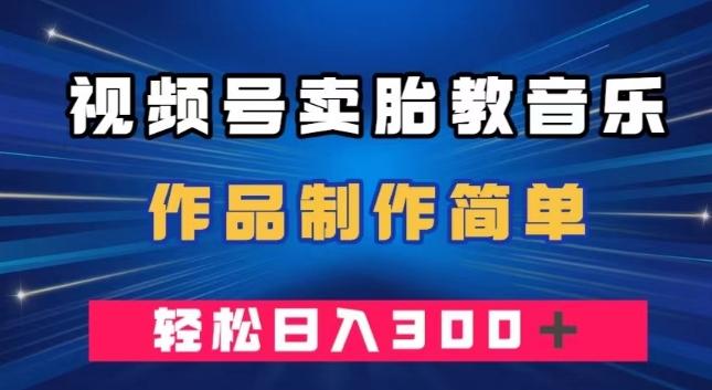 视频号卖胎教音乐，作品制作简单，一单49，轻松日入300＋-梦想波浪