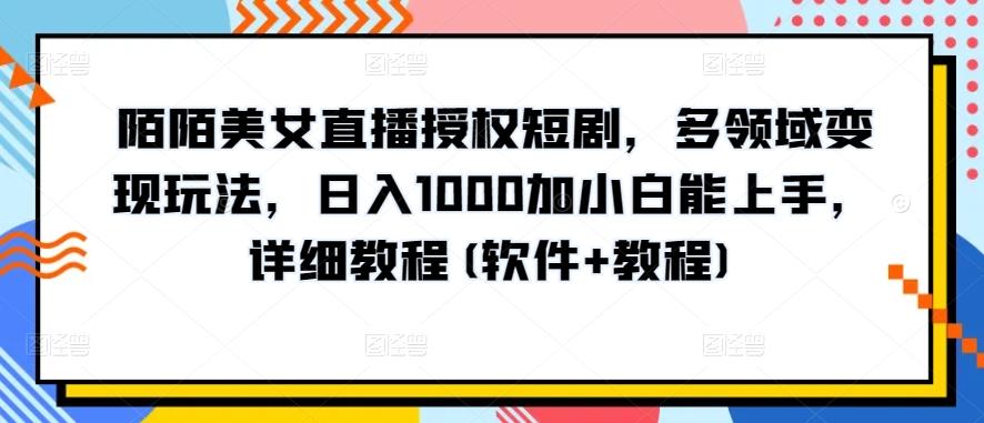 陌陌美女直播授权短剧,多领域变现玩法,日入1000加小白能上手,详细教程(软件+教程)【揭秘】-梦想波浪