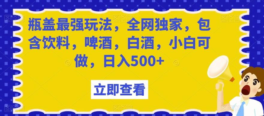 瓶盖最强玩法，全网独家，包含饮料，啤酒，白酒，小白可做，日入500+【揭秘】-梦想波浪