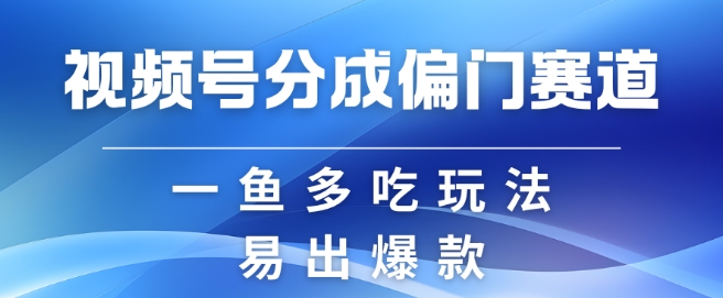 视频号创作者分成计划偏门类目，容易爆流，实拍内容简单易做【揭秘】-梦想波浪