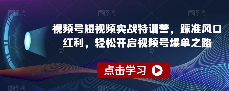 视频号短视频实战特训营，踩准风口红利，轻松开启视频号爆单之路-梦想波浪