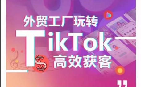 外贸工厂玩转TikTok高效获客，多种引流方式与账号定位技巧，拆解爆款短视频打造成功案例-梦想波浪